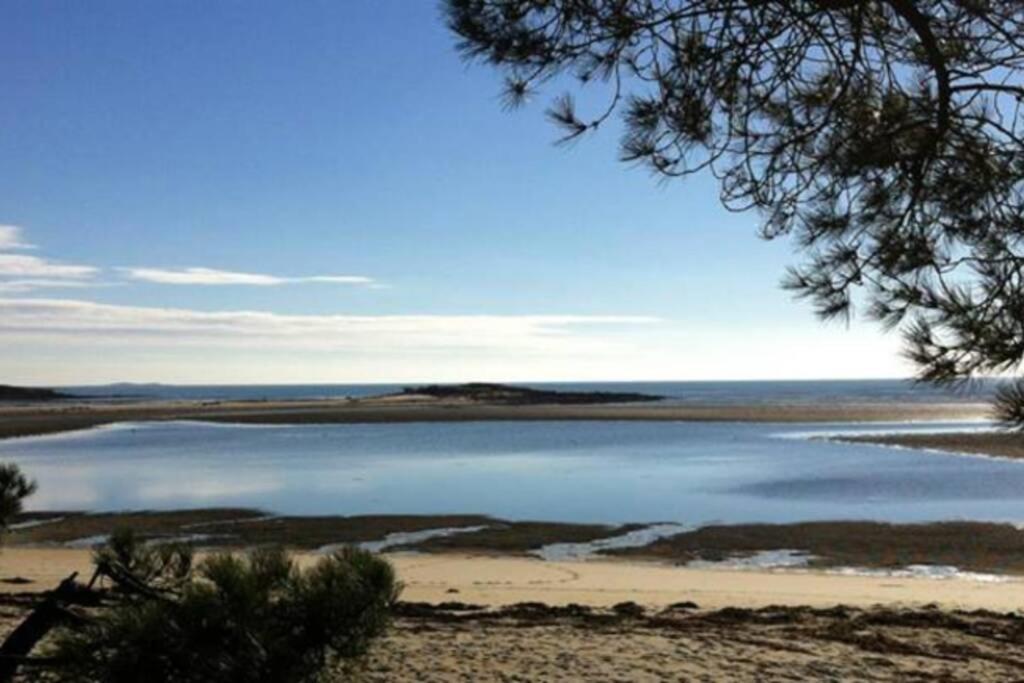 Maison Avec Jardin Clos. Animaux Acceptes - Wifi - Proche Plages De La Trinite Sur Mer Et Carnac Exteriör bild