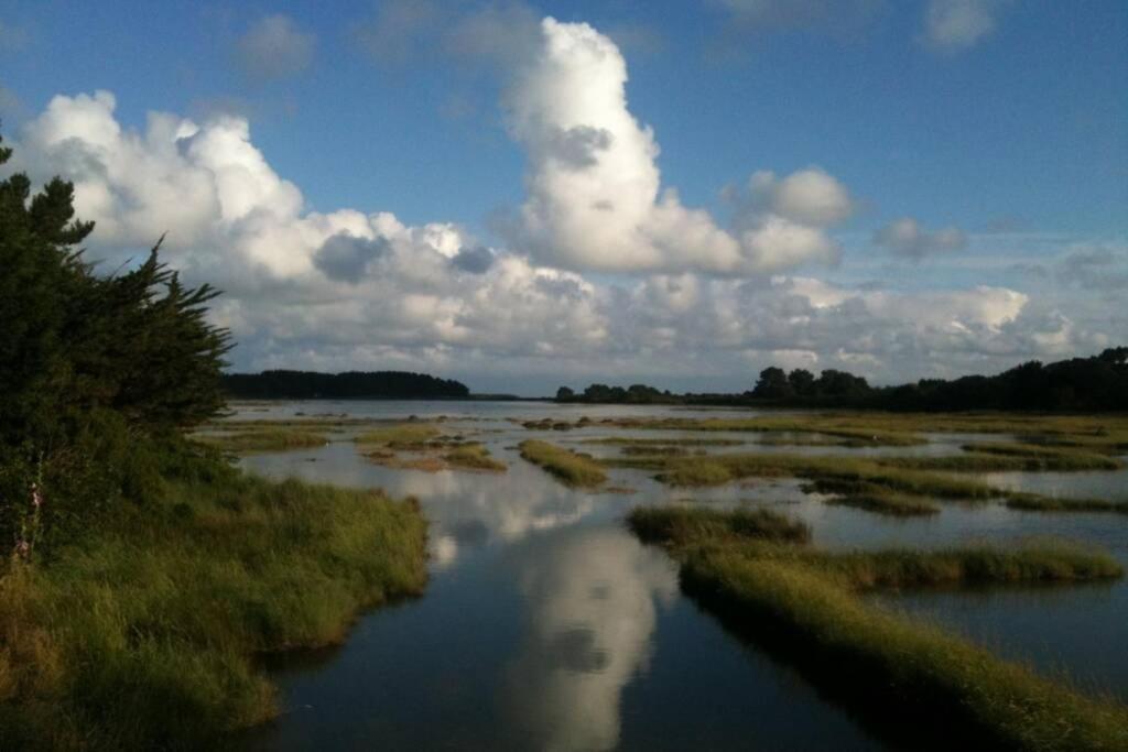 Maison Avec Jardin Clos. Animaux Acceptes - Wifi - Proche Plages De La Trinite Sur Mer Et Carnac Exteriör bild